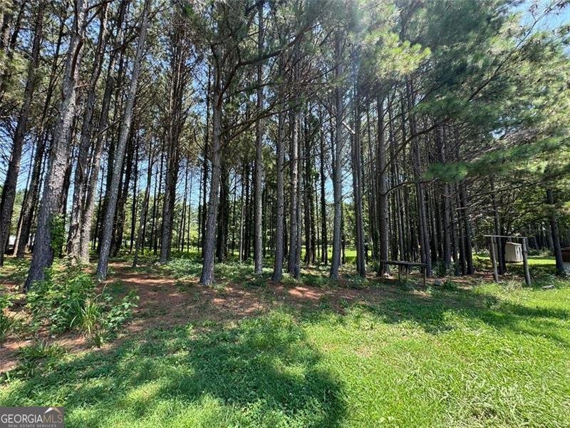 1136 Flagstone Road Elberton - 34