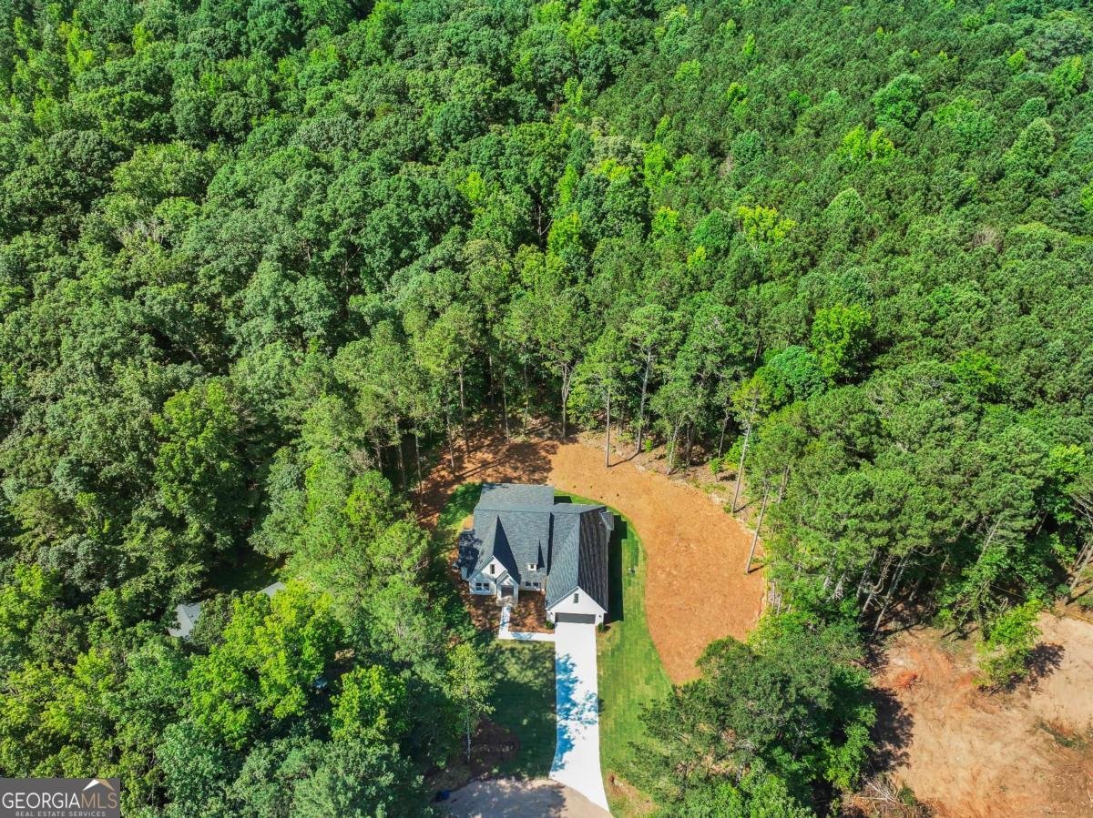 2335 Azalea Dr Loganville - 8