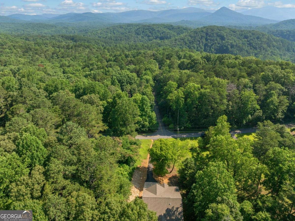 304 Old Cove Road Jasper - 39