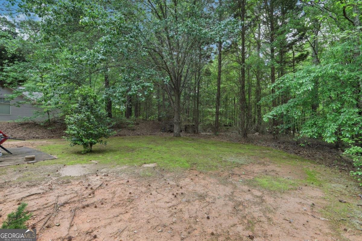 179 Parkside Drive Stockbridge - 20