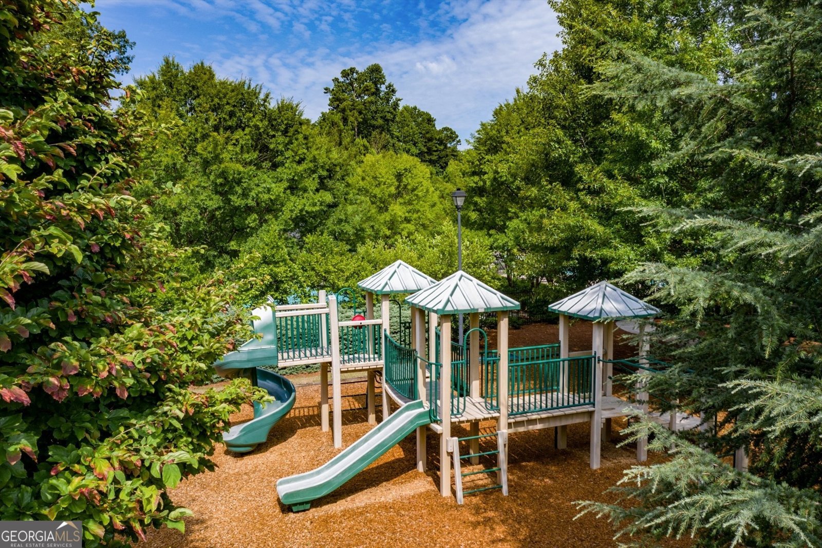 249 Fountain Oak Way Canton - 12