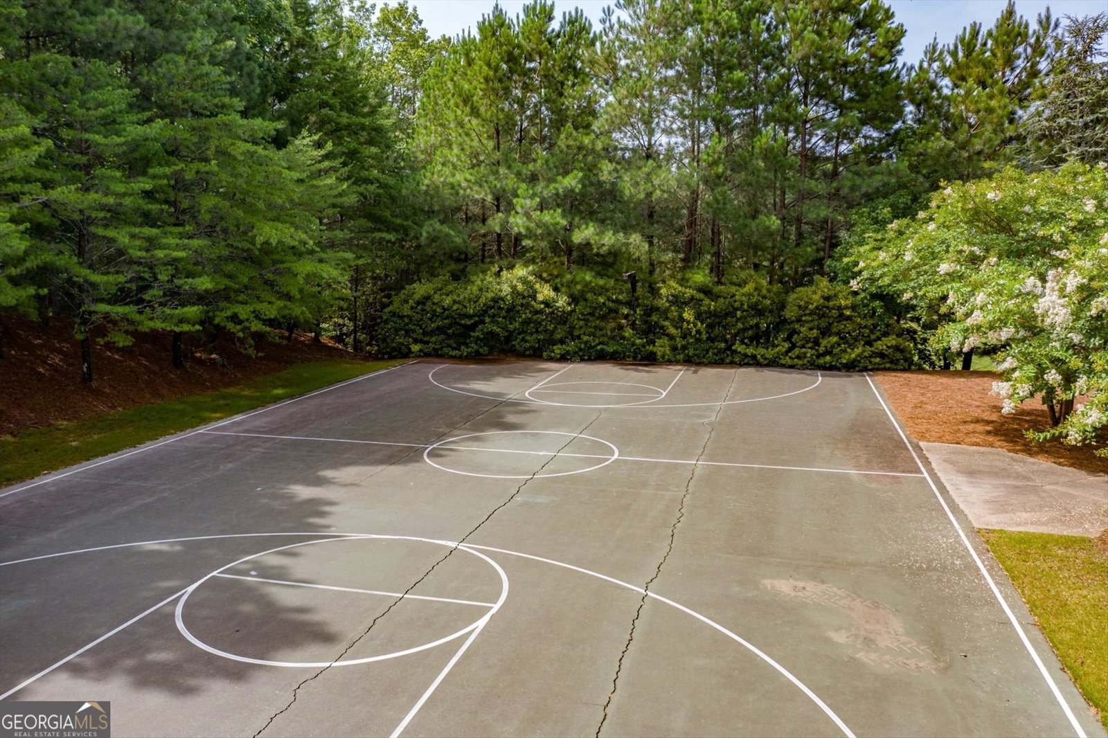 249 Fountain Oak Way Canton - 13