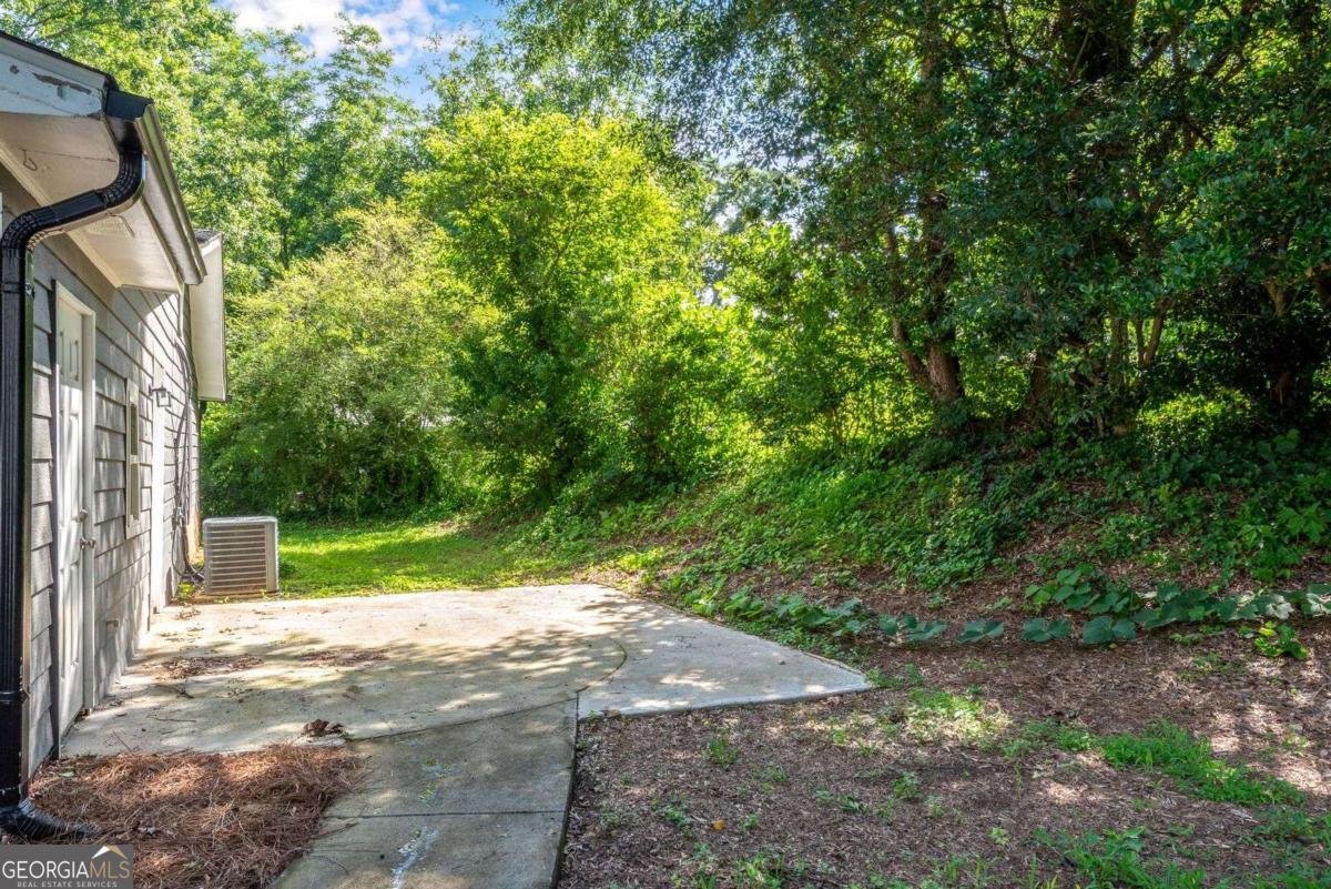 356 Lake Drive Atlanta - 41