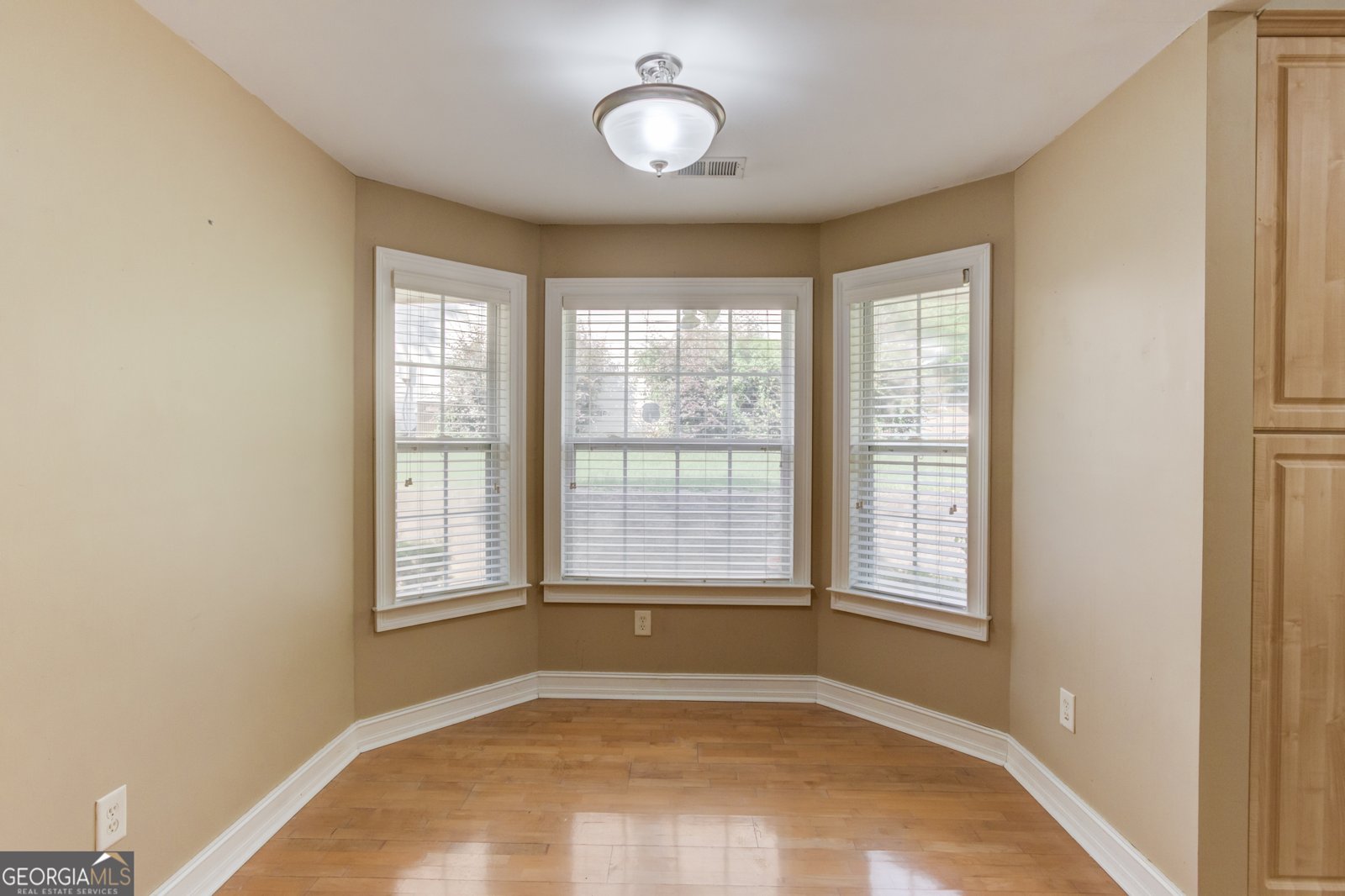 805 RIVER VALLEY Dacula - 17