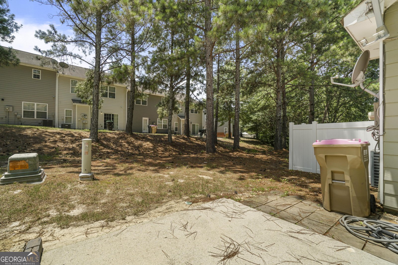 2203 Hyssop Way Buford - 12