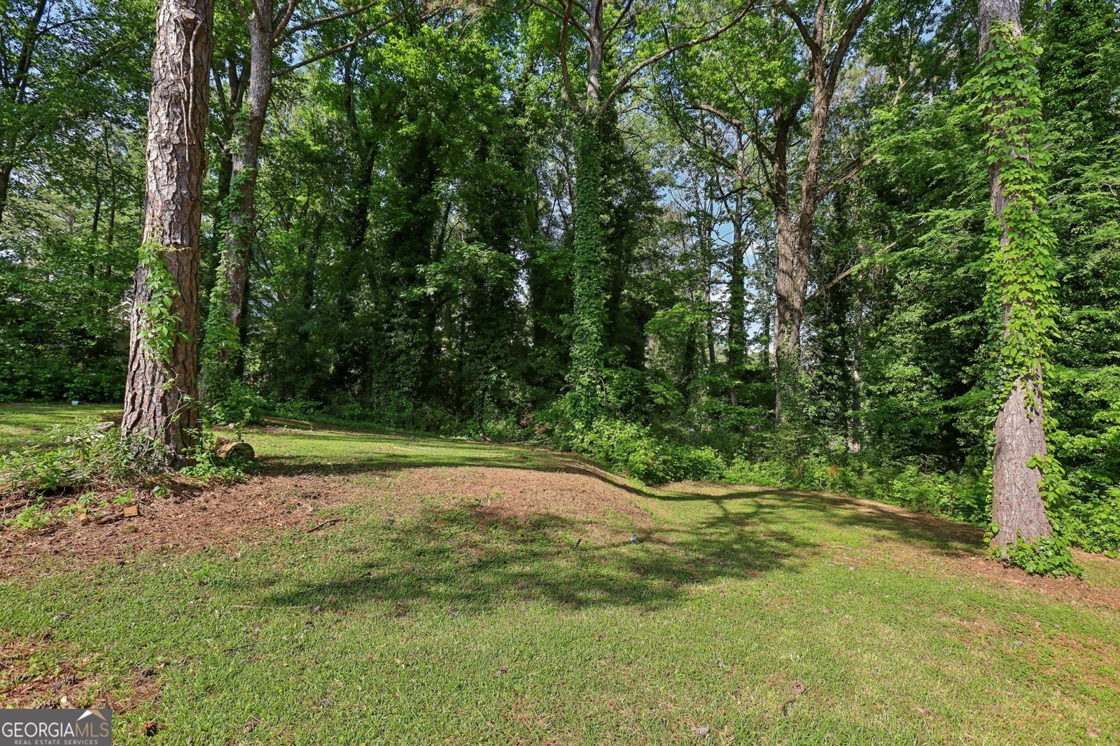 4954 Browns Mill Road Lithonia - 36