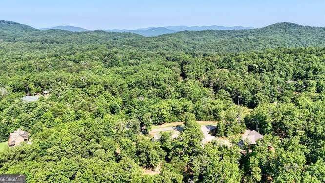87 Harbin Court Morganton - 58