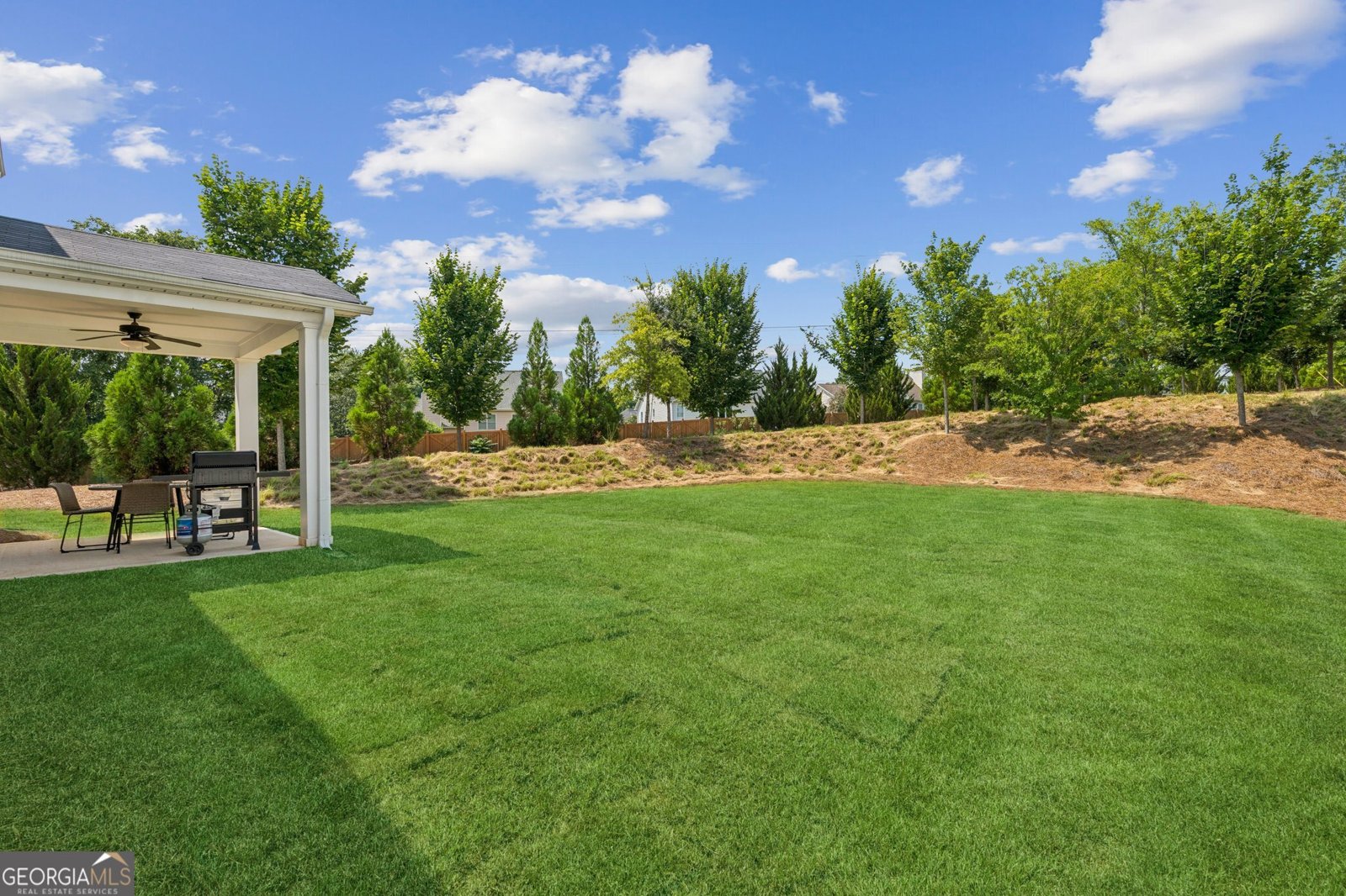 515 Cobblestone Court Canton - 27