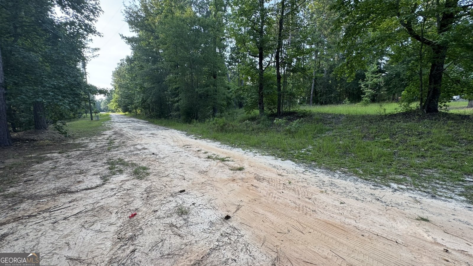 927 Louis Road Rentz - 3