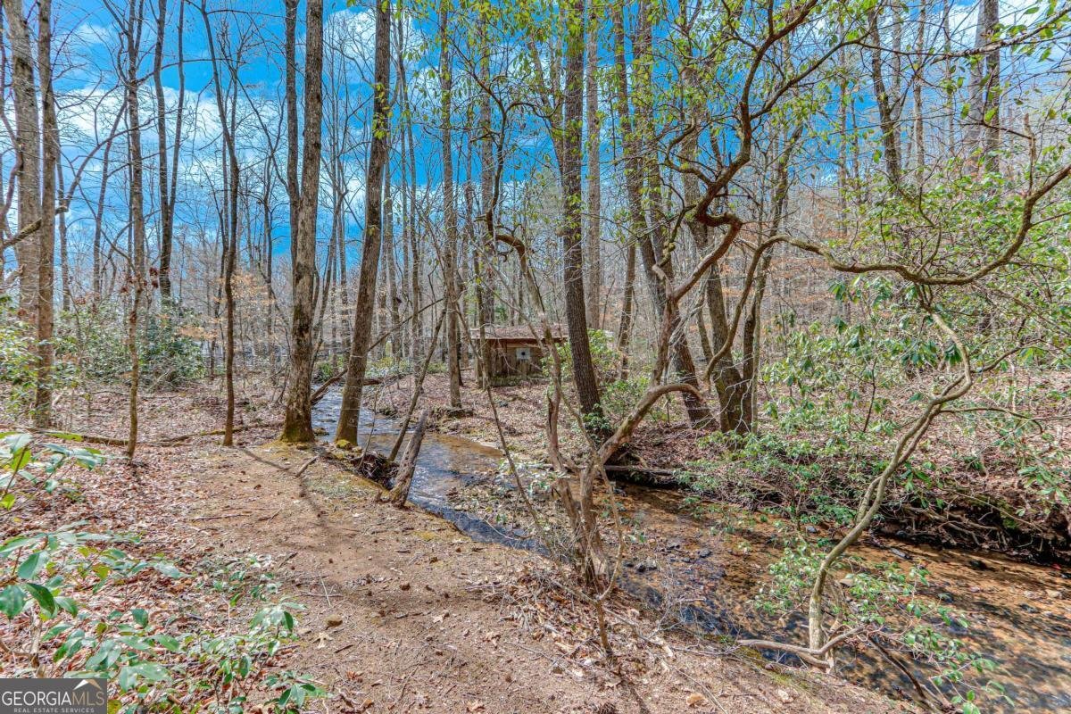 257 Foothills Drive Cleveland - 21