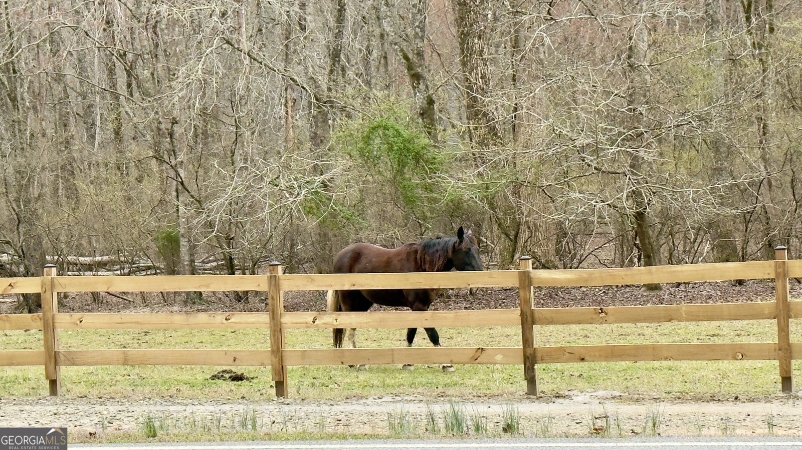 916 Sautee Trail Sautee Nacoochee - 21