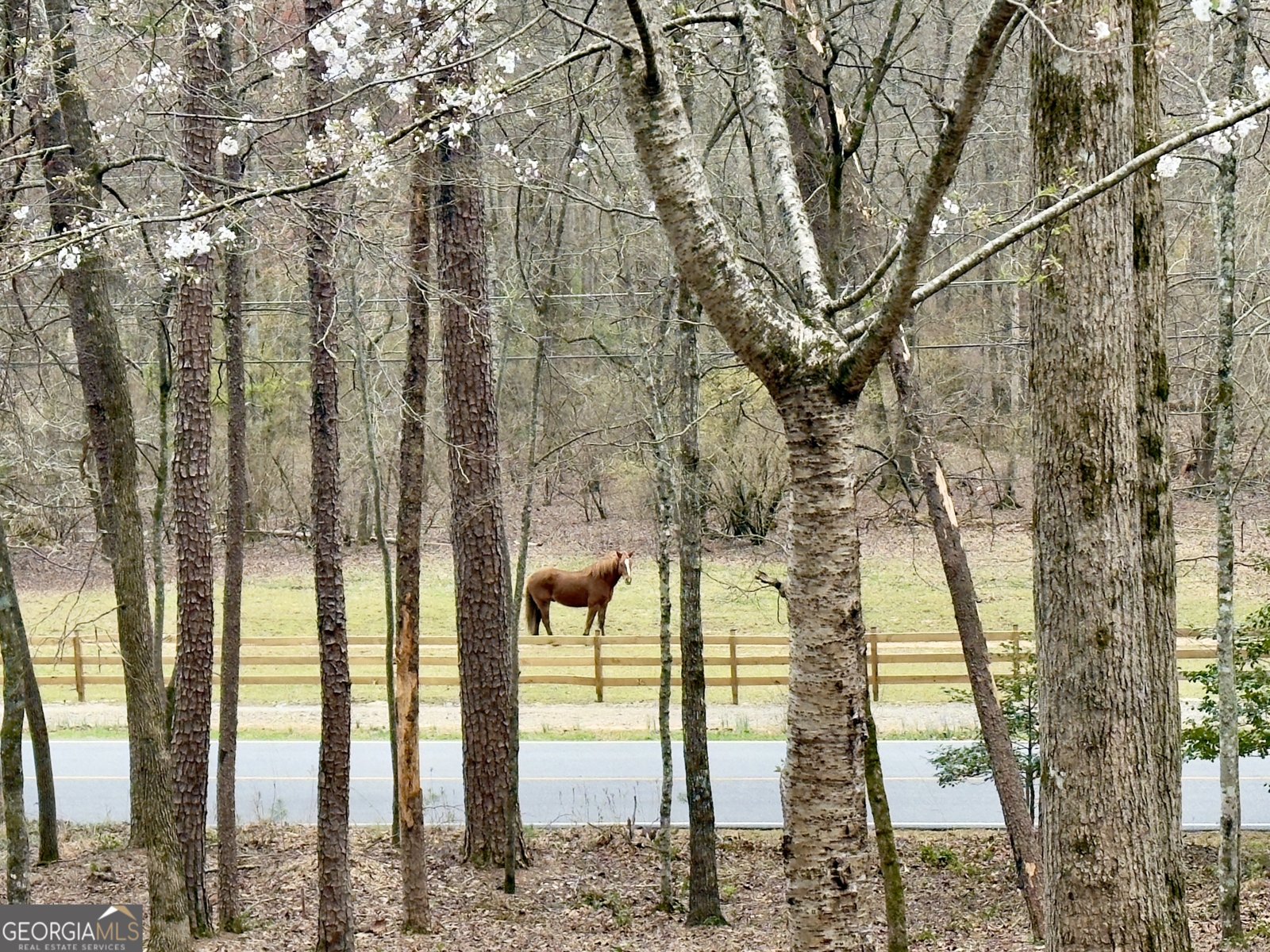 916 Sautee Trail Sautee Nacoochee - 37