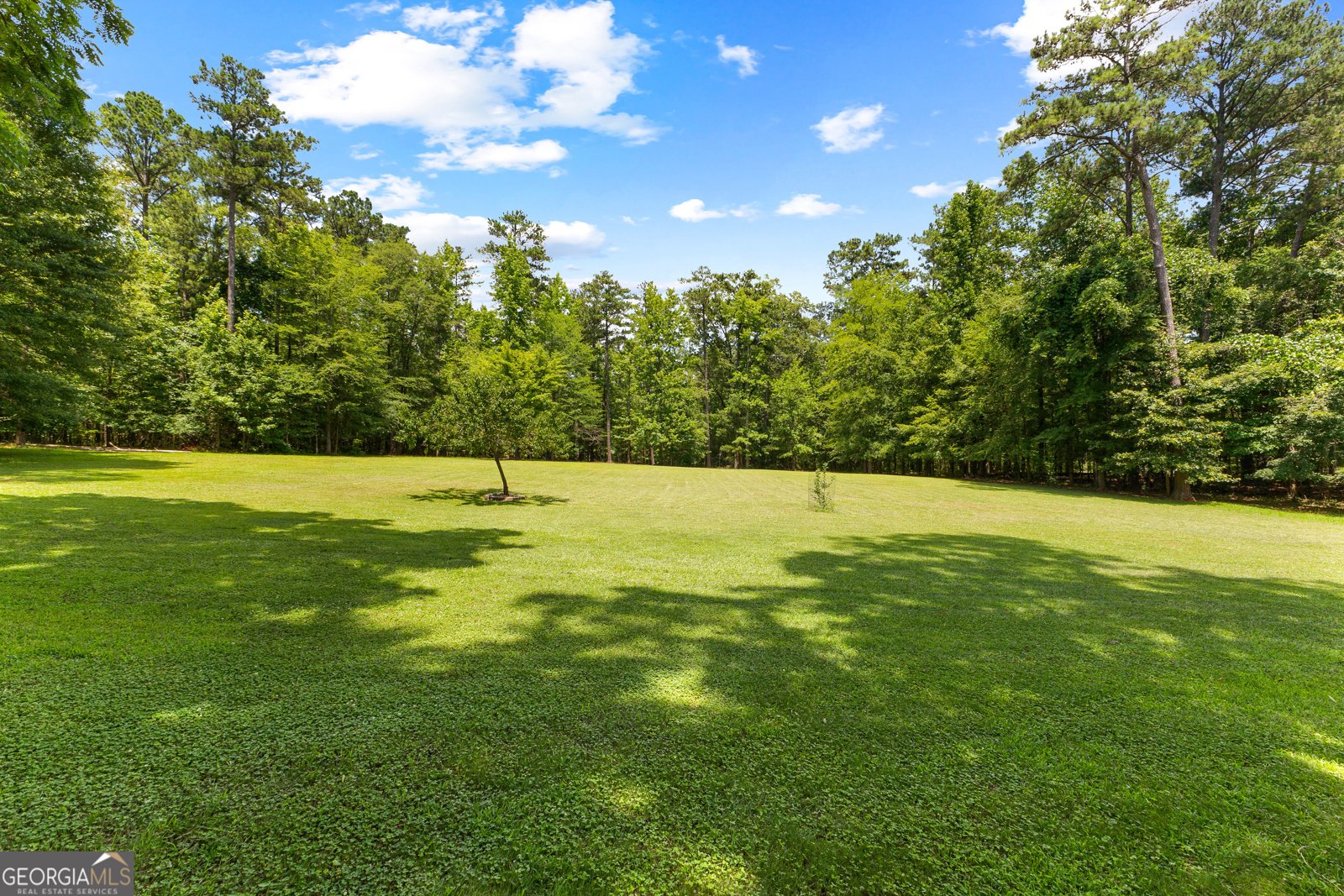 152 Bear Creek Road Moreland - 36