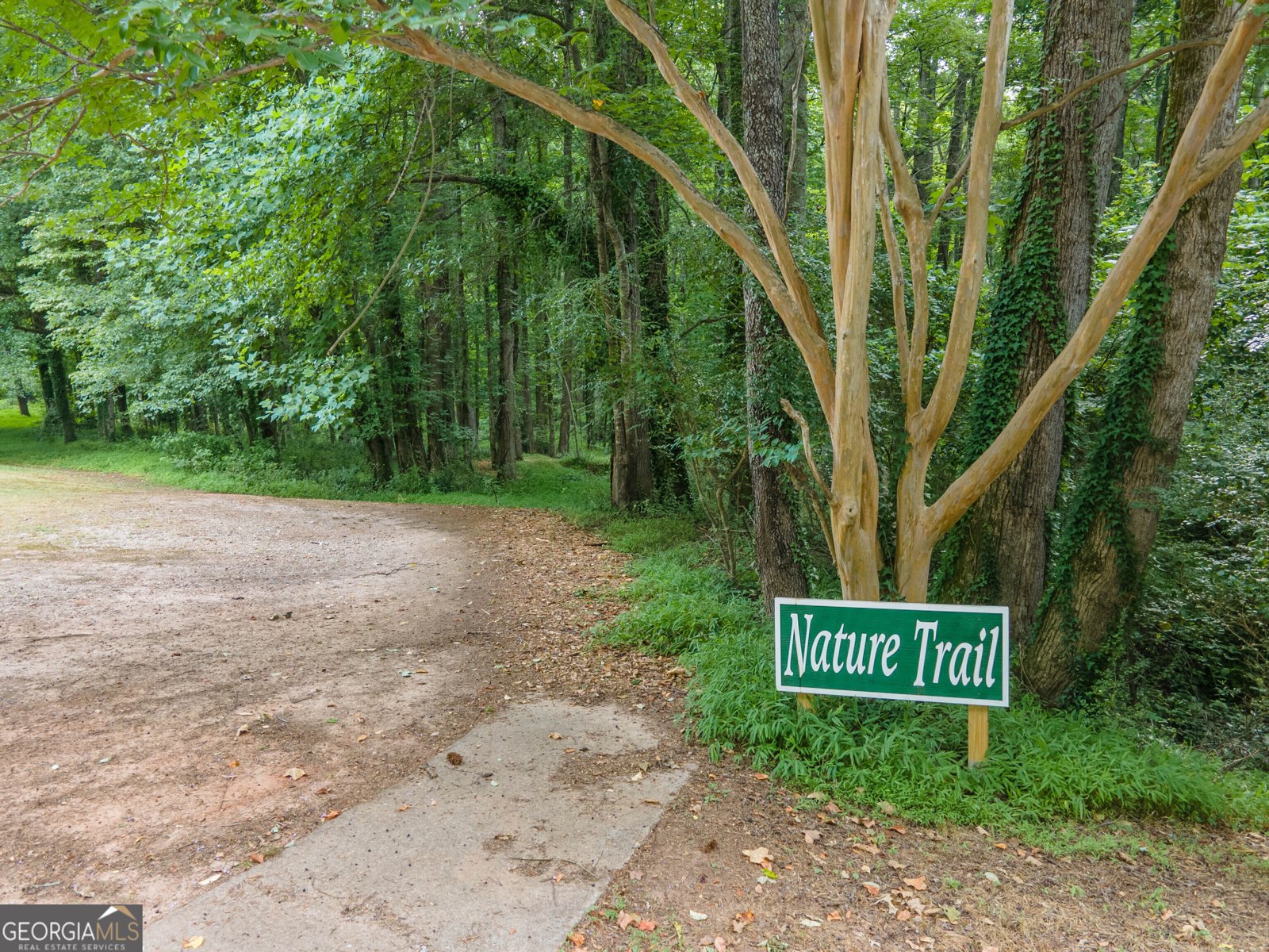 551 Arbor Springs Parkway Newnan - 18