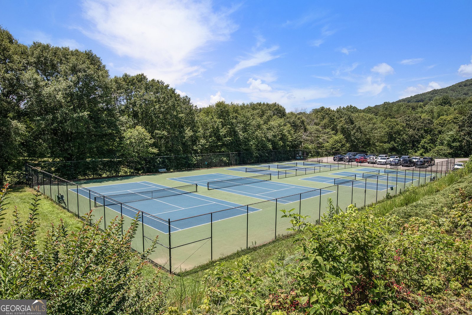 131 Winesap Way Clarkesville - 50