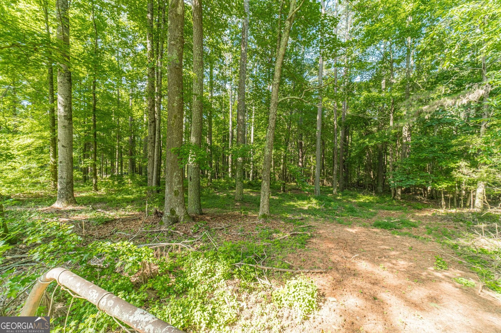 4120 Grady Smith Road Loganville - 51