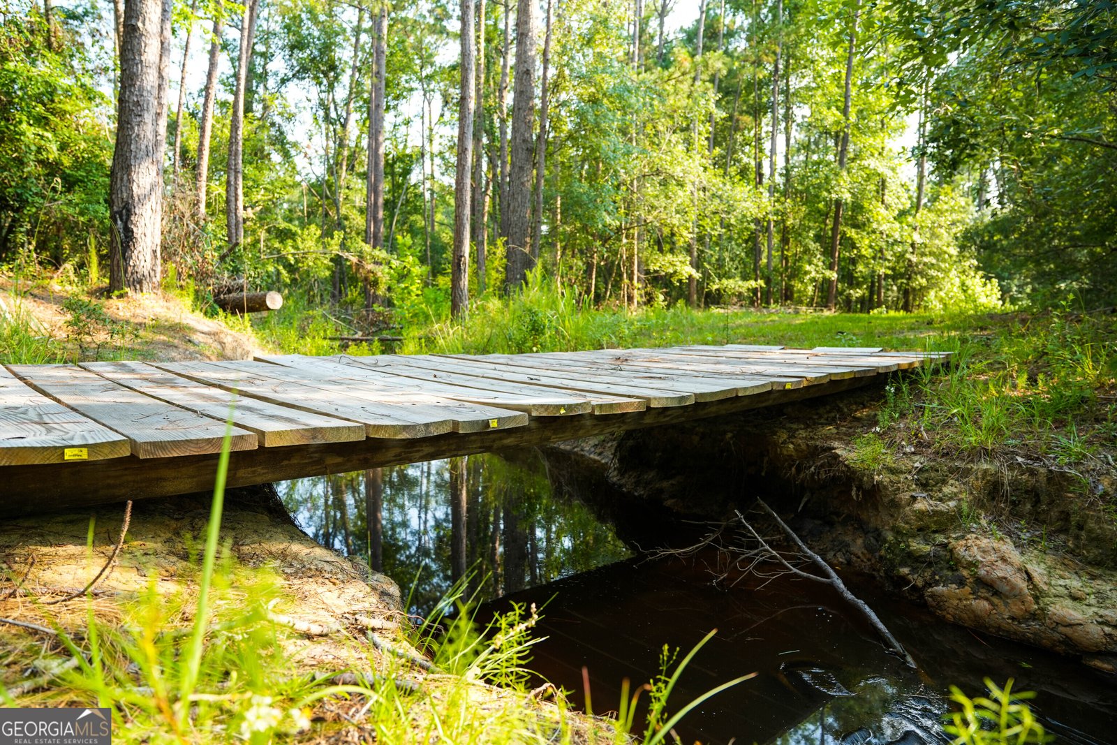 8433 Banks Dairy Road Statesboro - 45