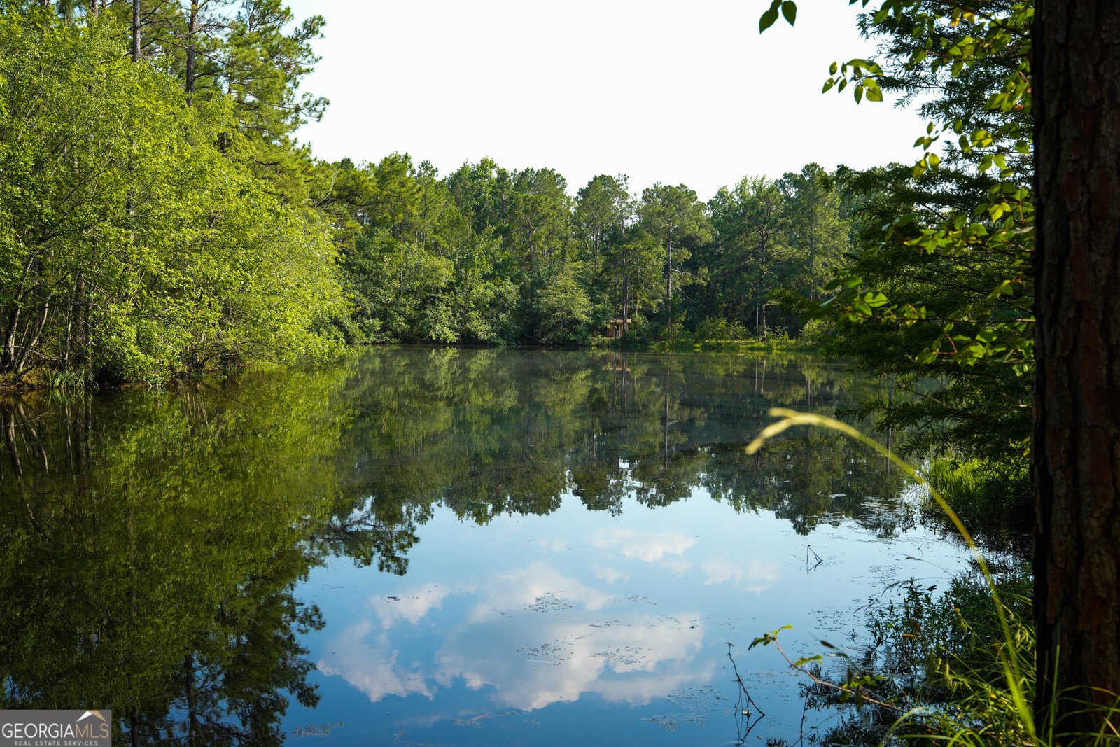 8433 Banks Dairy Road Statesboro - 6