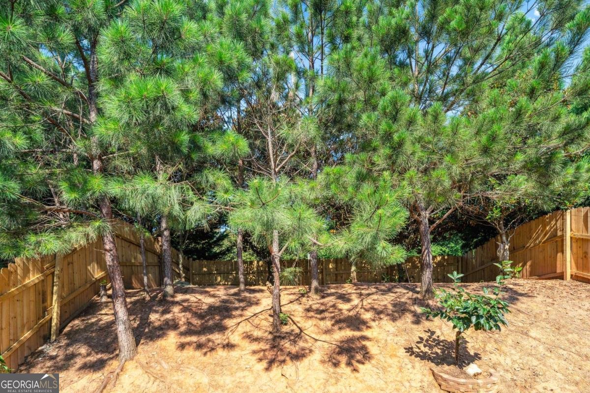 2859 Woodward Down Trail Buford - 8