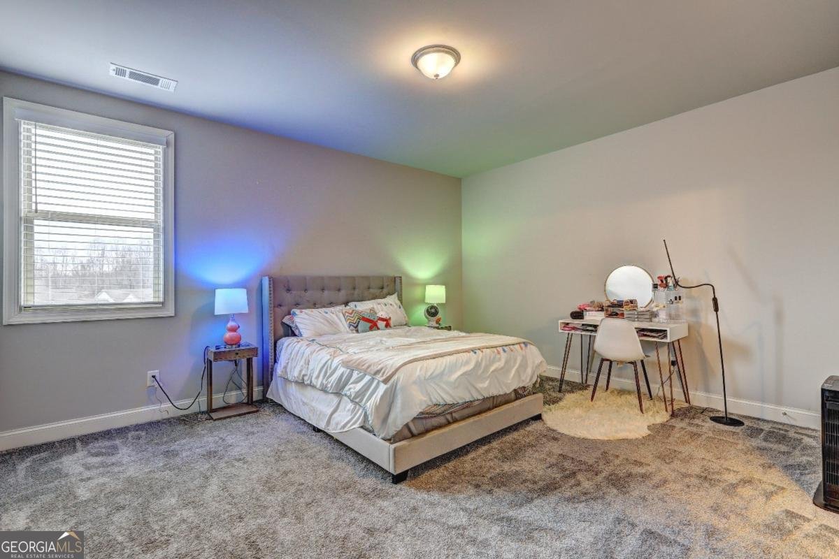 5540 Wood Falls Drive Buford - 17