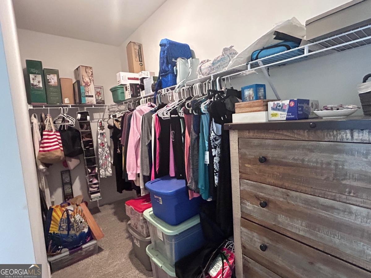 546 Linch Road Senoia - 20