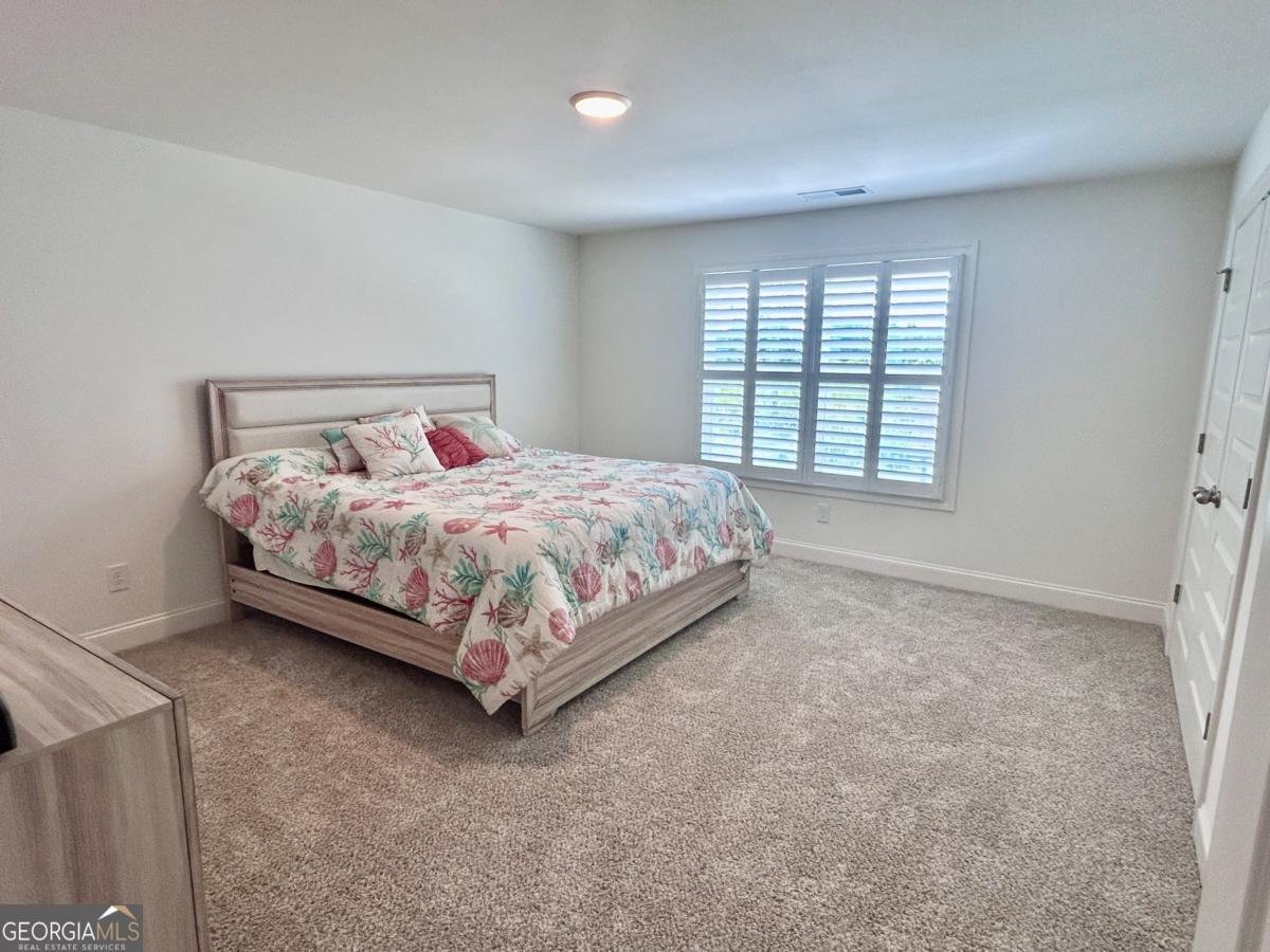 546 Linch Road Senoia - 25