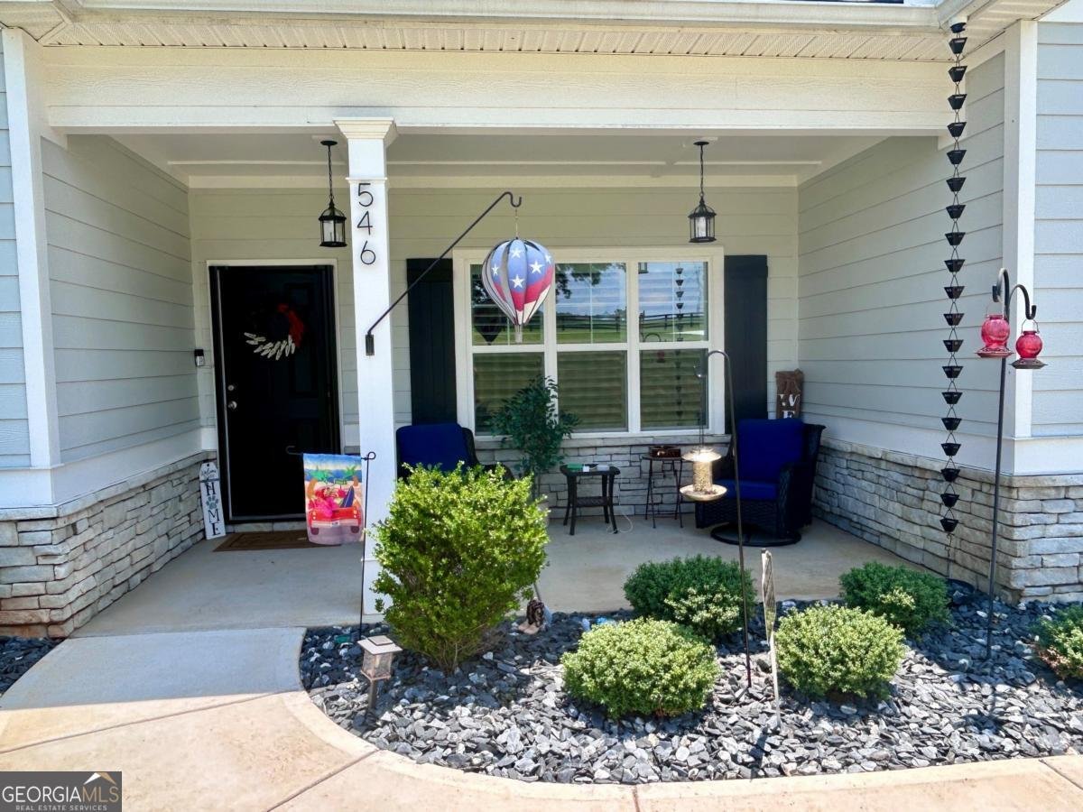 546 Linch Road Senoia - 3