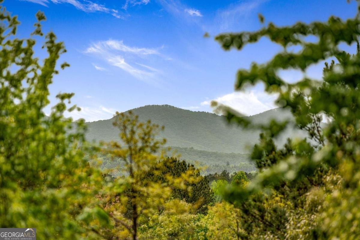 45 Village Loop Blairsville - 14