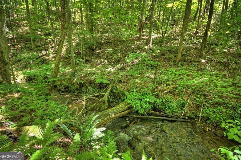 276 Pine Ridge Road Ellijay - 11