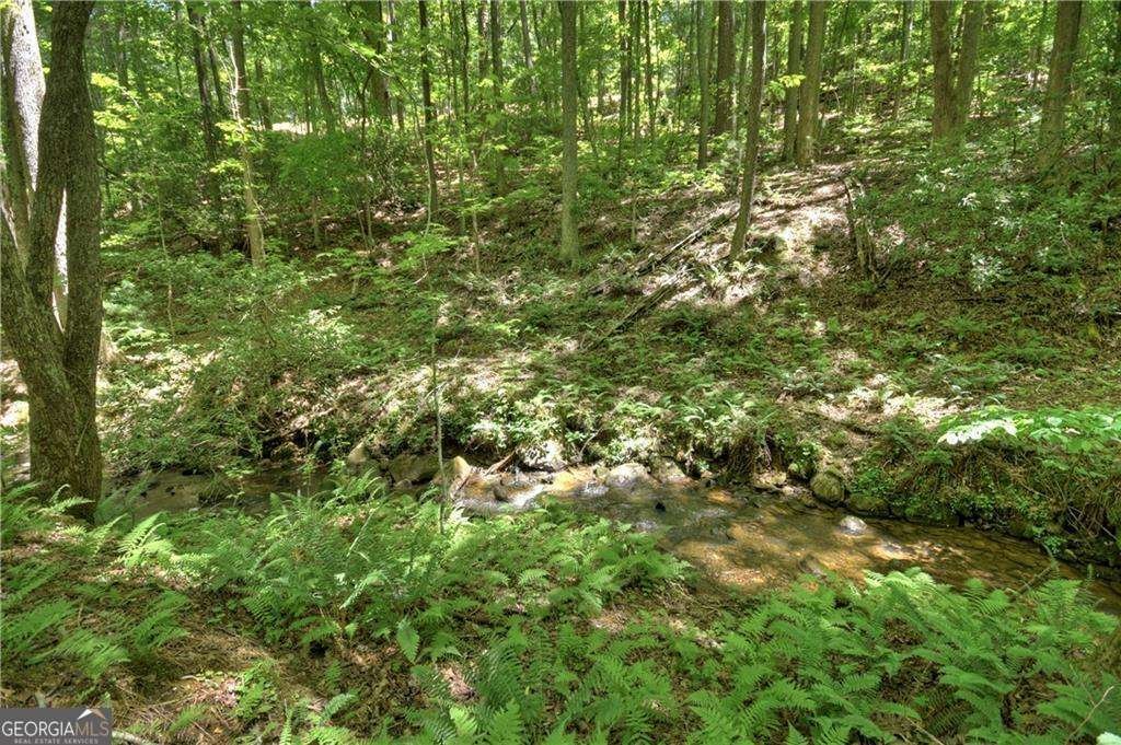 276 Pine Ridge Road Ellijay - 12