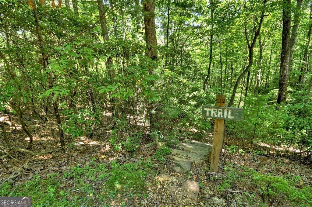 276 Pine Ridge Road Ellijay - 13