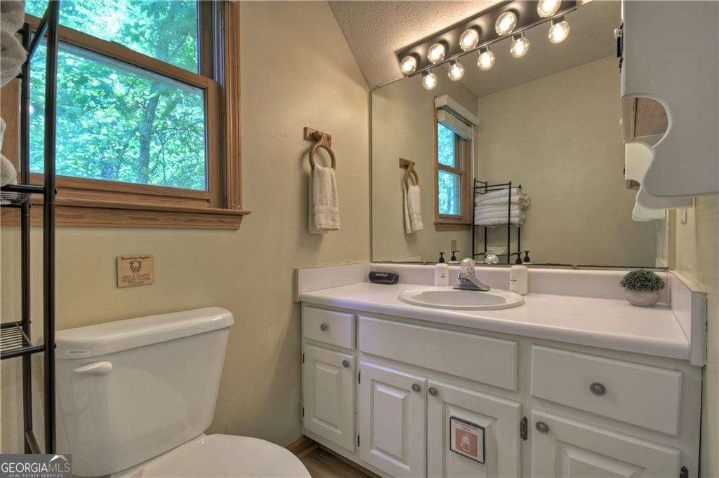 276 Pine Ridge Road Ellijay - 39