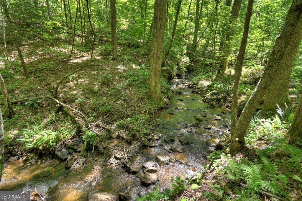 276 Pine Ridge Road Ellijay - 9