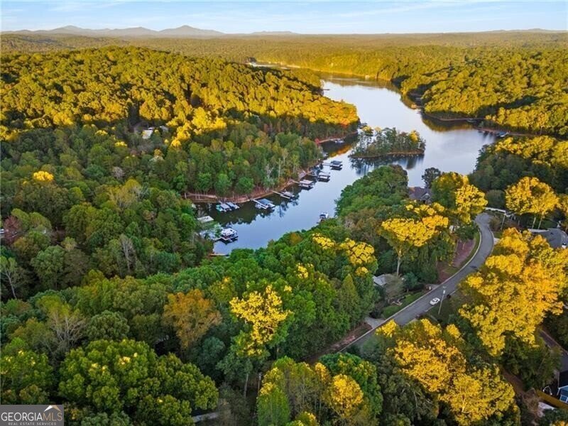 LOT 4 Fredericks Cove Dawsonville - 10