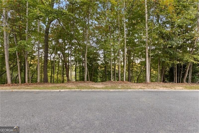 LOT 4 Fredericks Cove Dawsonville - 13