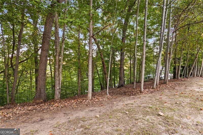 LOT 4 Fredericks Cove Dawsonville - 14