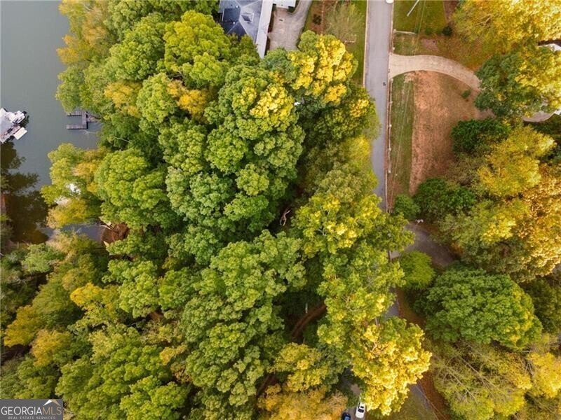 LOT 4 Fredericks Cove Dawsonville - 15