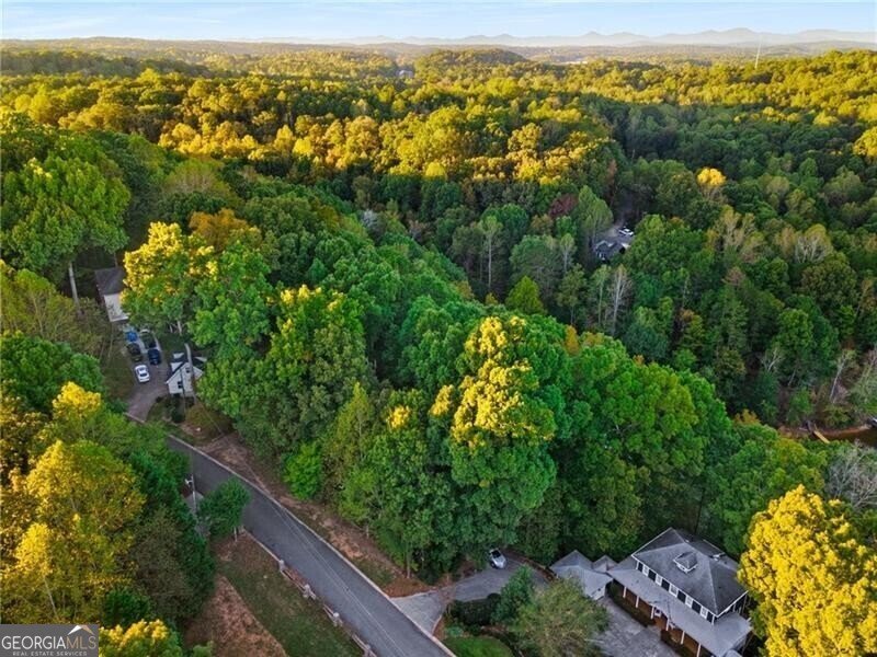LOT 4 Fredericks Cove Dawsonville - 17