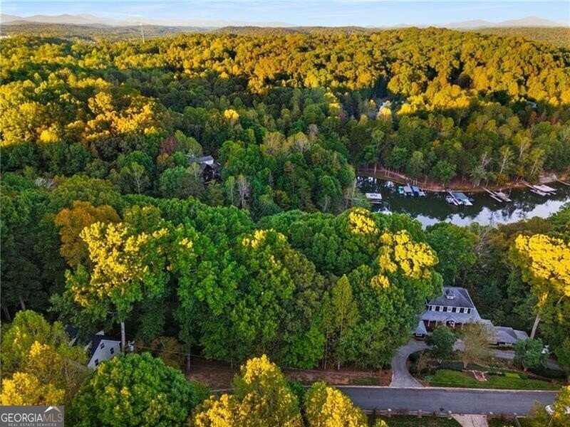 LOT 4 Fredericks Cove Dawsonville - 18