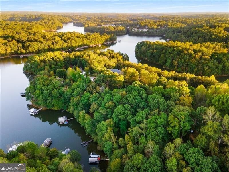 LOT 4 Fredericks Cove Dawsonville - 9