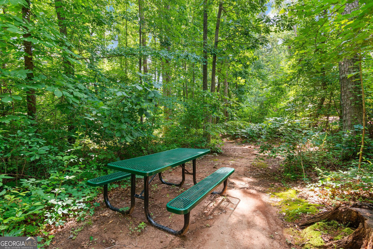 4486 Huffman Drive Drive Roswell - 62