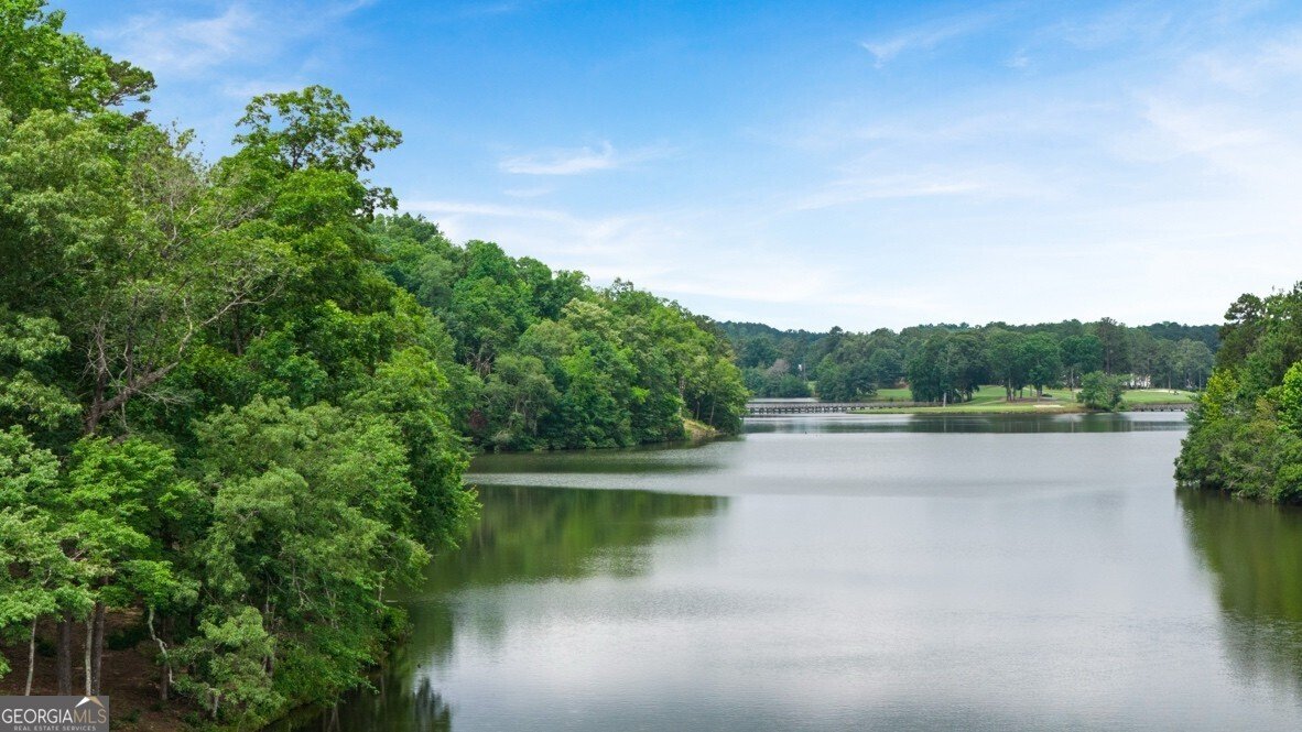 917 Sundown Point Villa Rica - 16