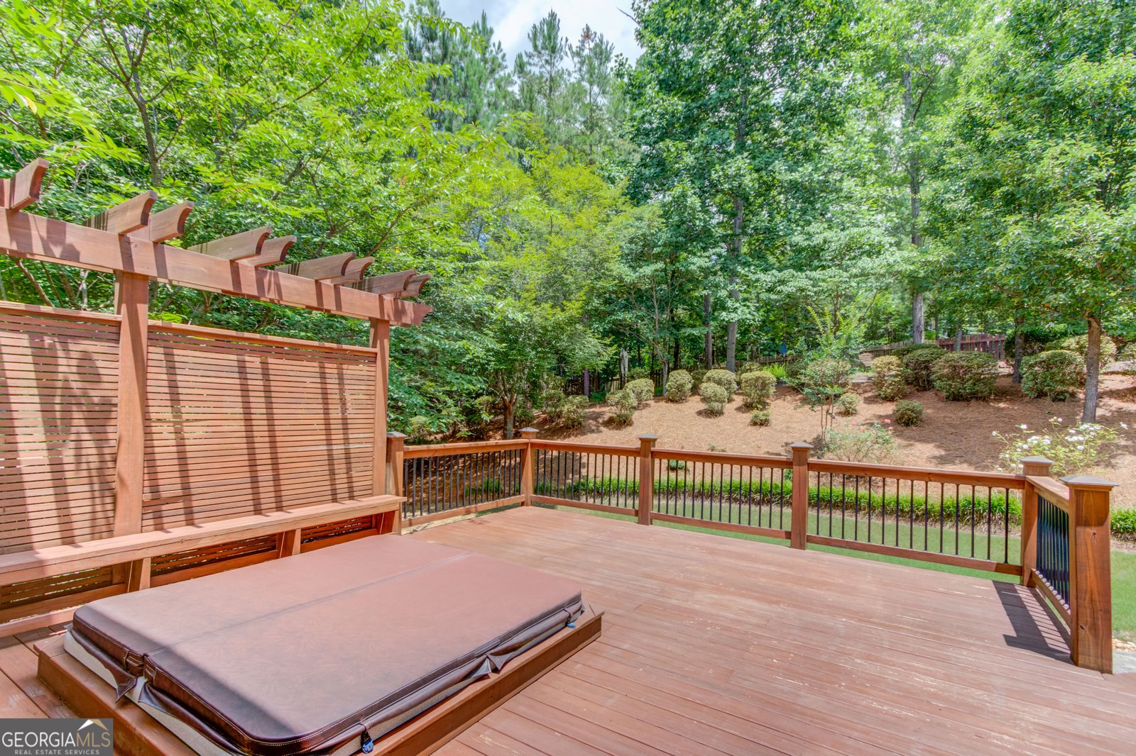 2748 Hidden Falls Drive Buford - 1