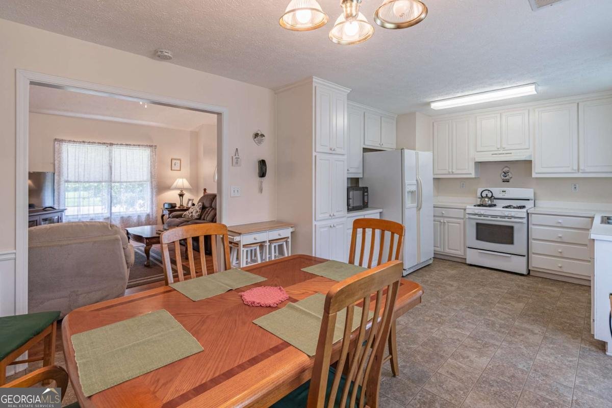 2325 Sailor Lane Suwanee - 12