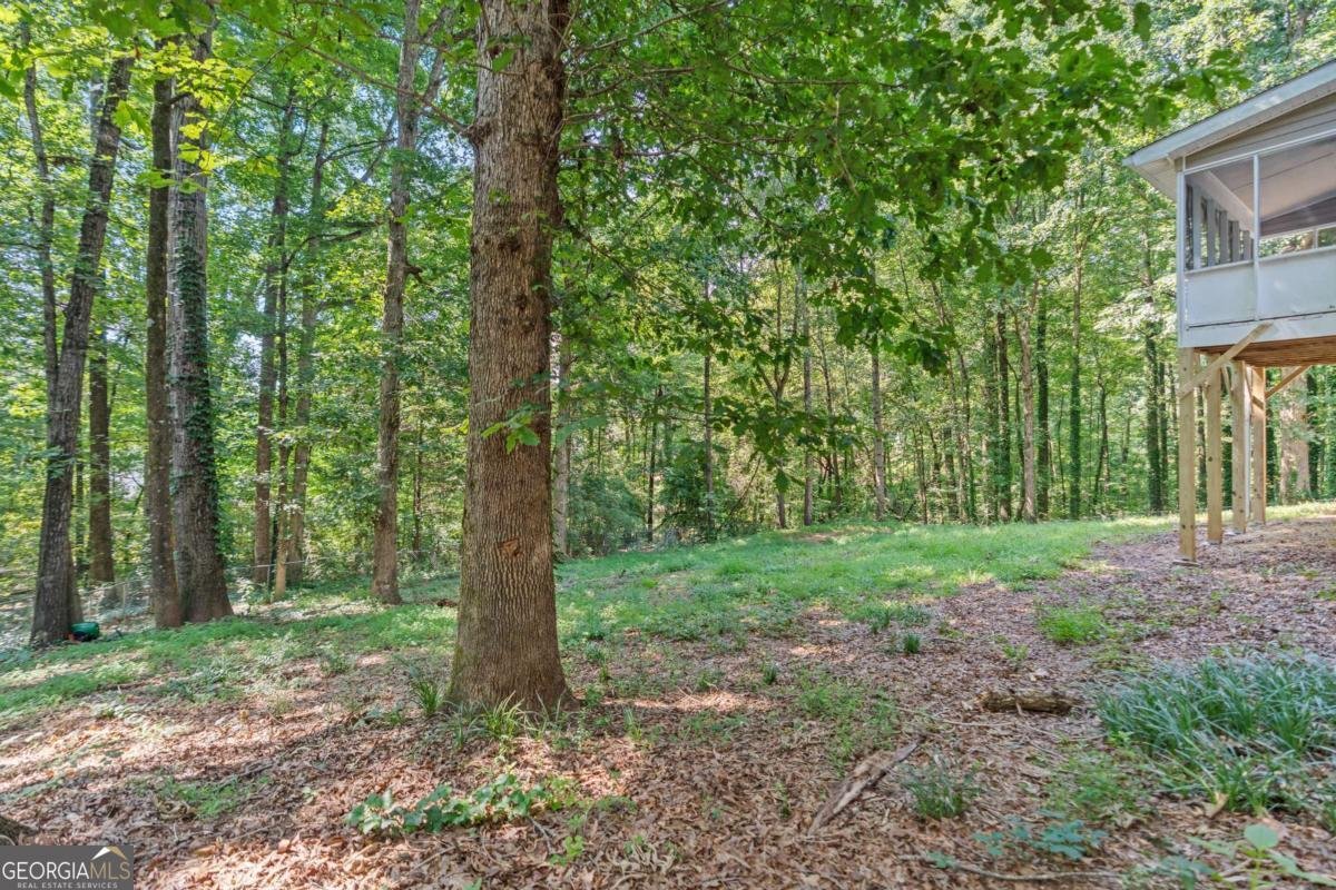 4617 Kingswood Drive Flowery Branch - 23