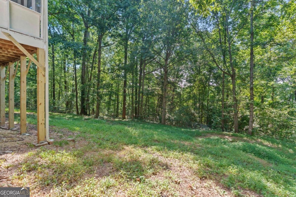 4617 Kingswood Drive Flowery Branch - 24