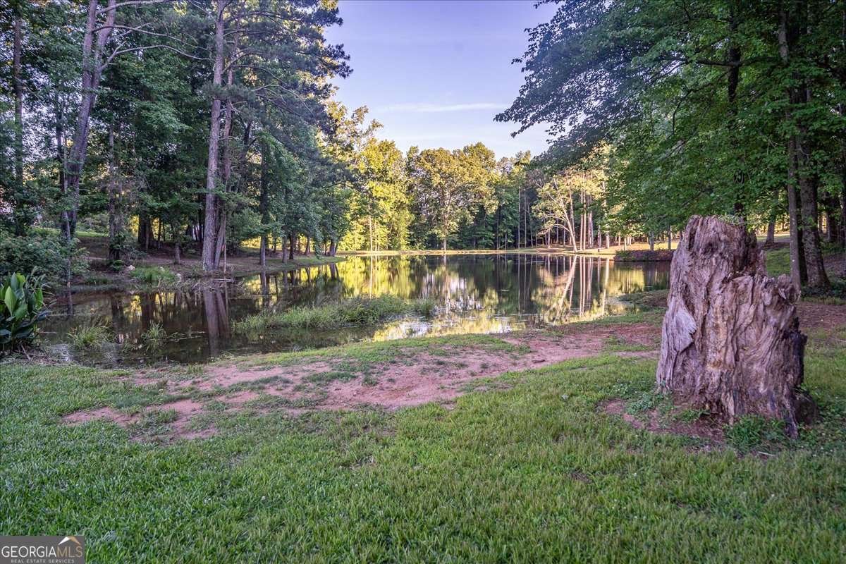11302 Jefferson Road Athens - 26