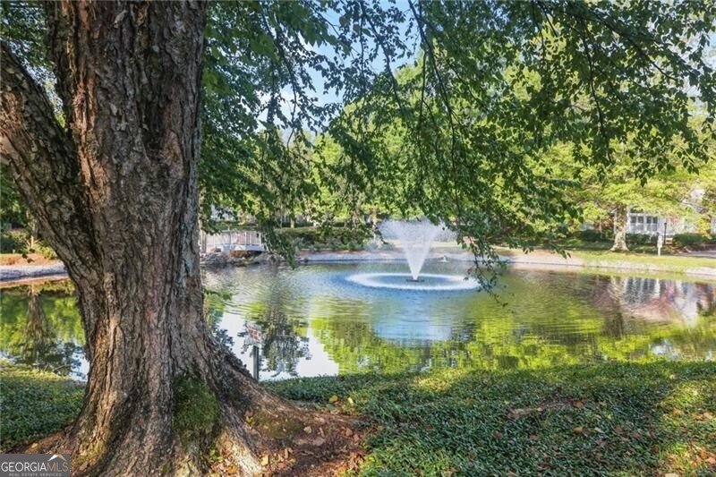 3707 Vineyards Lake Circle Kennesaw - 2