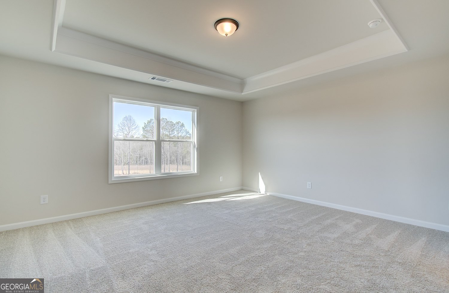 4434 Eastbrook Place Snellville - 3