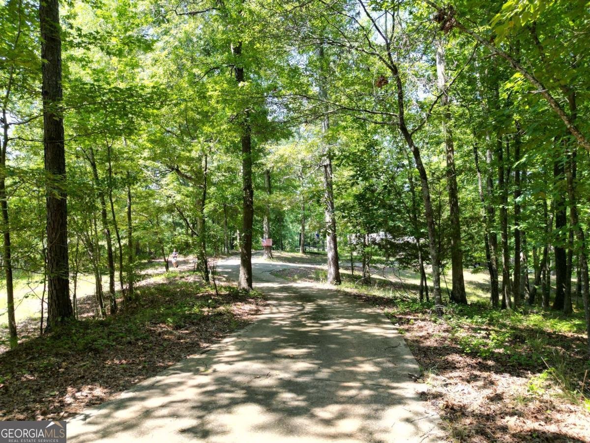 1350 Wildcat Ridge Road Watkinsville - 48